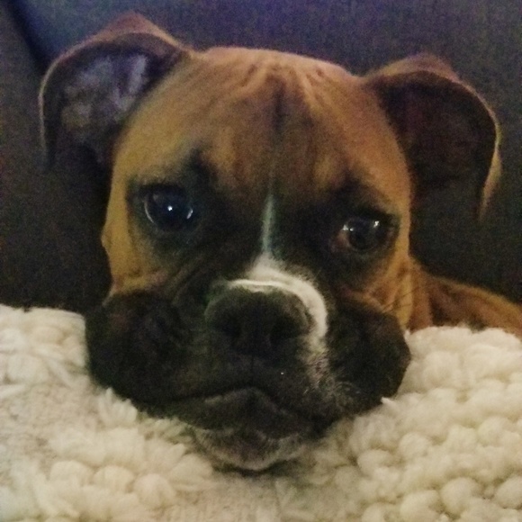 Meet your Posher, Ashley - Picture 3 of 3